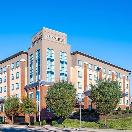Springhill Suites By Marriott Роанок Экстерьер фото