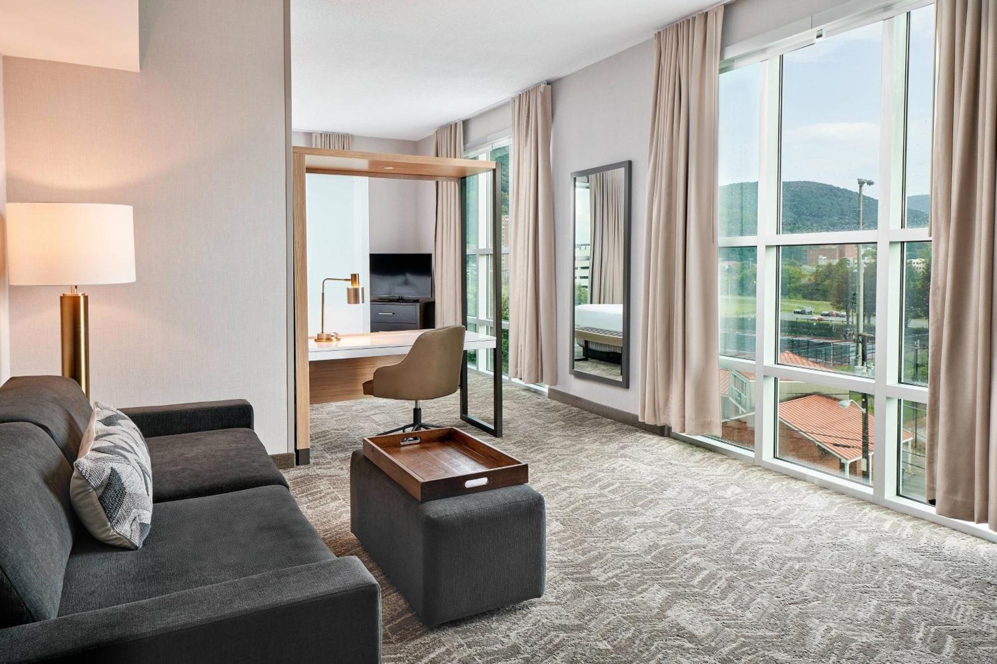 Springhill Suites By Marriott Роанок Экстерьер фото