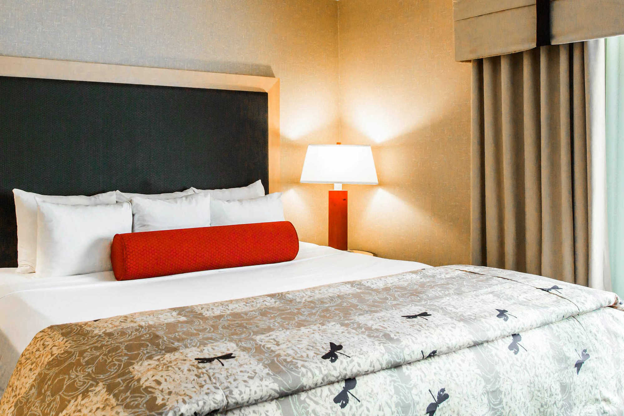 Springhill Suites By Marriott Роанок Номер фото