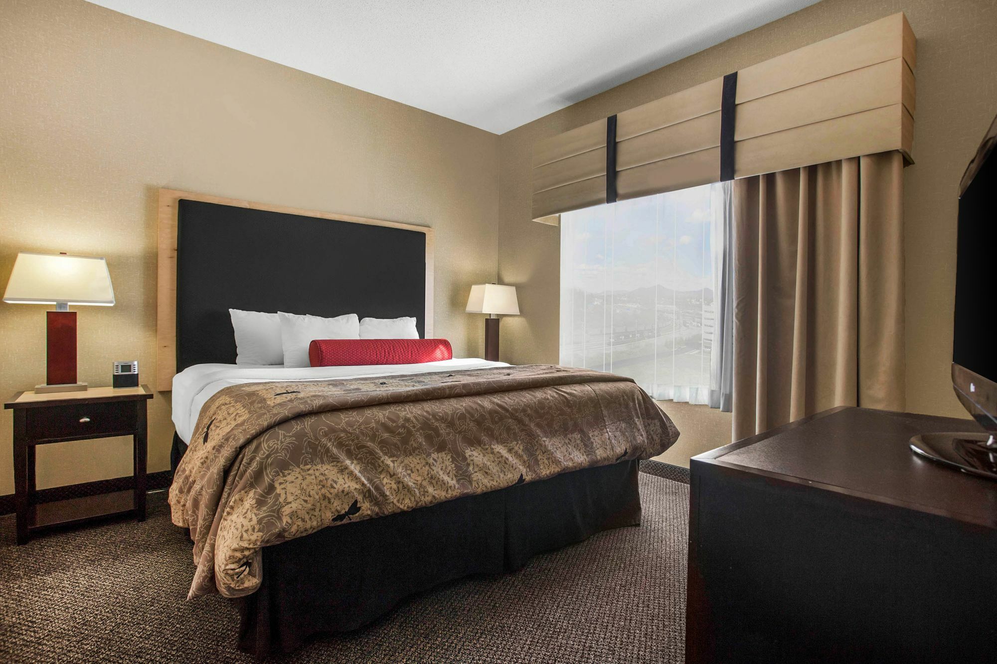 Springhill Suites By Marriott Роанок Экстерьер фото
